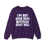 I'm Not Doin Bum Bitches Right Now - Sweatshirt (blurred)