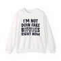 I'm Not Doin' Fake Bitches Right Now - Sweatshirt (blurred)
