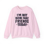 I Don't Fuck With Bougie Niggas - Sweatshirt (blurred)