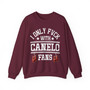 I Only Fuck With Canelo Fans - Sweatshirt (hanging gloves)
