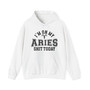 I'm On My Aries Shit Today - Hoodie