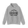 I'm On My Gemini Shit Today - Hoodie