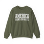 America Runs On Hate - Sweatshirt (Plain)