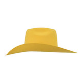 SOMBRERO VAQUERO DE LANA SPLENDOR