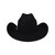 SOMBRERO VAQUERO DE PELO DE CONEJO ESTE OESTE - PN 10X