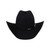 SOMBRERO VAQUERO DE PELO DE CONEJO ESTE OESTE - PN 10X