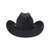 SOMBRERO VAQUERO DE LANA ESTE OESTE - P 6X SOMBRERO VAQUERO DE LANA ESTE OESTE - P 6X
