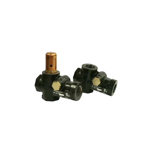 Upper and Lower Test and Check Valves with 1" NPT connection and Vacuum Breaker (Part Number 195000)
