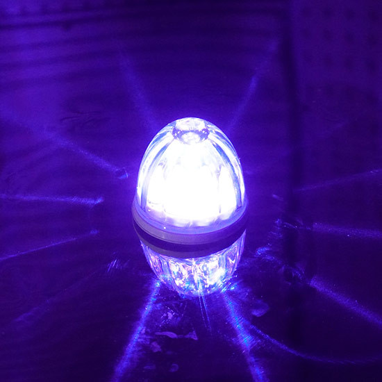 Legendary Extreme 2 Inch Glass Watermelon Purple- Clear W/ 3 Wire LED Light