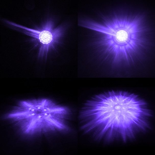 Legendary 1-1/2 Glass Watermelon Clear-Purple 2 Wire Single Function Chrome Bezel, Stud Mount LED Light - Each