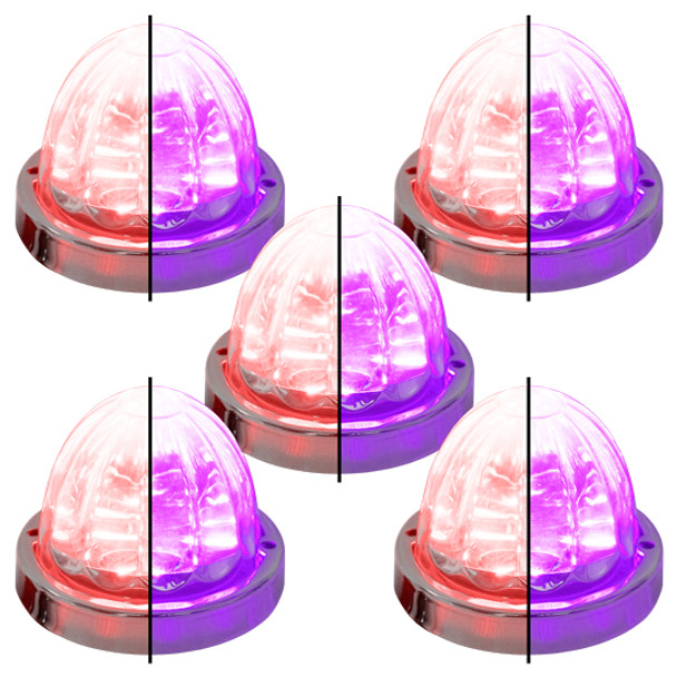 Legendary 3-1/2 Glass Watermelon Red-Purple-Clear 4 Wire Dual Tone Stainless Steel Bezel LED Light - 5 Pack