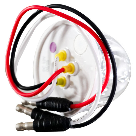 Legendary Extreme 2 Inch Glass Watermelon Blue- Clear W/ 3 Wire LED Light