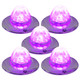 Legendary 3-1/2 Glass Watermelon Clear-Purple 3 Wire Dual Function Chrome Flat Bezel LED Light - 5 Pack