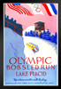 Olympic Bobsled Run Lake Placid Travel Retro Vintage WPA Art Project Art Print Stand or Hang Wood Frame Display Poster Print 9x13