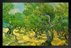 Vincent Van Gogh Olive Orchard Van Gogh Wall Art Impressionist Painting Style Nature Spring Flower Wall Decor Landscape Vase Bouquet Poster Romantic Artwork Stand or Hang Wood Frame Display 9x13
