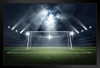 Soccer Goal Stadium Rendering Sports Photo Art Print Stand or Hang Wood Frame Display Poster Print 9x13
