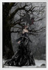 Queen of Shadows At Night With Black Baby Dragon by Nene Thomas Fantasy Poster Dark Forest Witchcraft Sorcerer White Wood Framed Art Poster 14x20