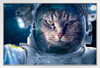 Cat in Space Funny Outer Space Cat Poster Funny Wall Posters Kitten Posters for Wall Motivational Cat Poster Funny Cat Poster Inspirational Cat Poster White Wood Framed Art Poster 14x20