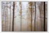 Misty Beech Tree Forest Autumn Landscape Photo White Wood Framed Poster 20x14