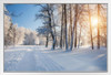 Winter Park Forest Trees In Snow Sunrise Landscape Photo Photograph White Wood Framed Poster 20x14