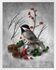 Black Capped Chickadee Colors of Winter by Renee Biertempfel Fantasy Art Bird Pictures Wall Decor Beautiful Art Wall Decor Feather Prints Wall Art Bird Prints White Wood Framed Art Poster 14x20