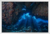 Sea Cave with God Rays Photo Photograph Cool Fish Poster Aquatic Wall Decor Fish Pictures Wall Art Underwater Picture of Fish for Wall Wildlife Reef Poster White Wood Framed Art Poster 20x14