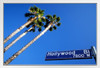 Hollywood Boulevard Street Sign and Palm Trees Los Angeles California Photo Photograph White Wood Framed Poster 20x14