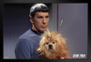 Star Trek Spock and Alfa 177 Canine Funny Cute Unicorn Dog The Enemy Within The Original Series TOS TV Television Episode Merchandise Cool Wall Decor Art Print Black Wood Framed Poster 12x18