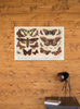 Moths and Butterflies 1888 Vintage Illustration Insect Cool Wall Art Print Poster 18x12