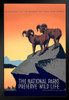 National Parks Preserve Wild Life Retro Vintage WPA Art Project Black Wood Framed Poster 14x20