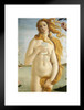 Botticelli Birth of Venus Selfie Portrait Painting Funny Matted Framed Art Print Wall Decor 20x26 inch