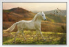 White Horse Running Trotting in a Field Wild Horses Decor Galloping Horses Wall Art Horse Poster Print Poster Horse Pictures Running Horse Breed Poster White Wood Framed Art Poster 20x14