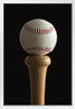 Baseball on Top of Bat Photo Photograph White Wood Framed Poster 14x20