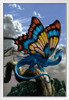 Drakerfly Monarch Butterfly Dragon by Ciruelo Artist Painting Fantasy White Wood Framed Poster 14x20