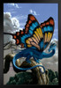 Drakerfly Monarch Butterfly Dragon by Ciruelo Artist Painting Fantasy Black Wood Framed Poster 14x20