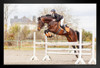 Young Female Rider Jumping Over Hurdle Poster Horse Pictures Wall Decor Horse Poster Print Horse Breed Poster Running Posters For Girls Horse Picture Wall Art Black Wood Framed Art Poster 14x20