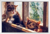 Cute Little Kittens in Window Sill Photo Baby Animal Portrait Photo Cat Poster Cute Wall Posters Kitten Posters for Wall Baby Cat Poster Inspirational Cat Poster White Wood Framed Art Poster 20x14