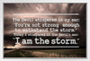 I Am The Storm Quote Motivational Inspirational Stormy Sky Photo Teamwork Inspire Quotation Gratitude Positivity Support Motivate Sign Good Vibes Social Work White Wood Framed Art Poster 14x20