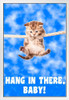 Hang In There Baby! Kitten Hanging From Rope Retro Motivational Inspirational Teamwork Quote Inspire Quotation Positivity Support Motivate Sign Good Vibes White Wood Framed Art Poster 14x20