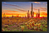Colorful Desert Sunset with Saguaro Cactus Sonoran Arizona Southwest Photograph Southwestern Photo Art Print Poster No Glare Wood Frame Display 8x12