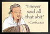 Confucius I Never Said All That Sht Funny Meme Fake Quote College Dorm Philosophy Demotivational Snarky Ironic Sarcastic Picture Modern Wood Frame Display 9x13