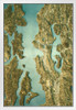 Seattle Washington Satellite View Topographic Map Landscape Photo Photograph White Wood Framed Poster 14x20
