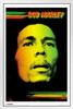 Bob Marley Face White Wood Framed Art Poster 14x20