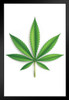 Cannabis Leaf Marijuana 420 Art Print Stand or Hang Wood Frame Display Poster Print 9x13