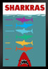 Sharkras Shark Chakras Funny Humor Shark Posters For Walls Shark Pictures Cool Sharks Of The World Poster Shark Wall Decor Ocean Poster Parody Art Print Stand or Hang Wood Frame Display 9x13