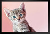 Cute Baby Kitty Kitten Posing for Camera Photo Baby Animal Portrait Photo Cat Poster Cute Wall Poster Kitten Posters for Wall Baby Poster Inspirational Cat Stand or Hang Wood Frame Display 9x13