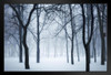 Winter Forest in Fog Photo Photograph Art Print Stand or Hang Wood Frame Display Poster Print 13x9