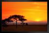 Serengeti Sunrise Panorama Photo Photograph Art Print Stand or Hang Wood Frame Display Poster Print 13x9