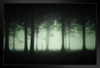 Dark Foggy Spooky Forest Dusk Trees Photo Poster Spooky Scary Halloween Decorations Moonlight Stand or Hang Wood Frame Display 9x13