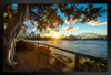 Sydney Opera House and Sydney Harbor Bridge at Dusk Photo Photograph Art Print Stand or Hang Wood Frame Display Poster Print 13x9